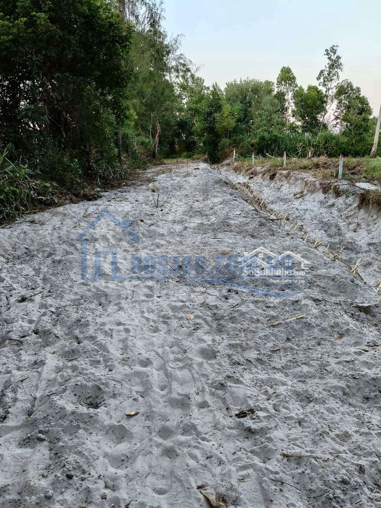 Bình Sa Thăng Bình Chào Bán Lô Đất Vườn .1600 M Có 300 M Đất Ở