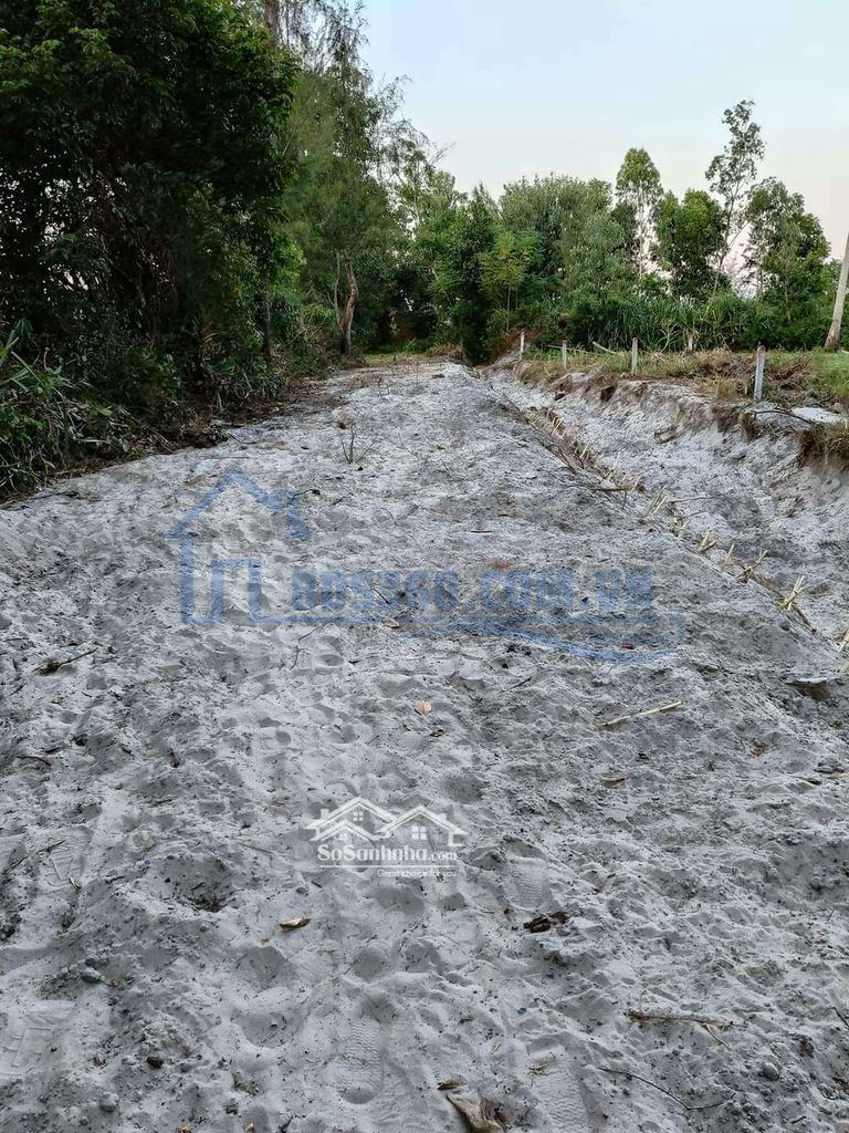 Bình Sa Thăng Bình Chào Bán Lô Đất Vườn .1600 M Có 300 M Đất Ở