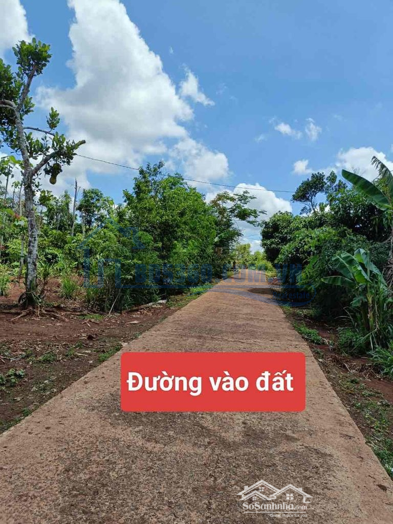 Đất Thị Xã Buôn Hồ Dt: 6*28 Thổ Cư 60M