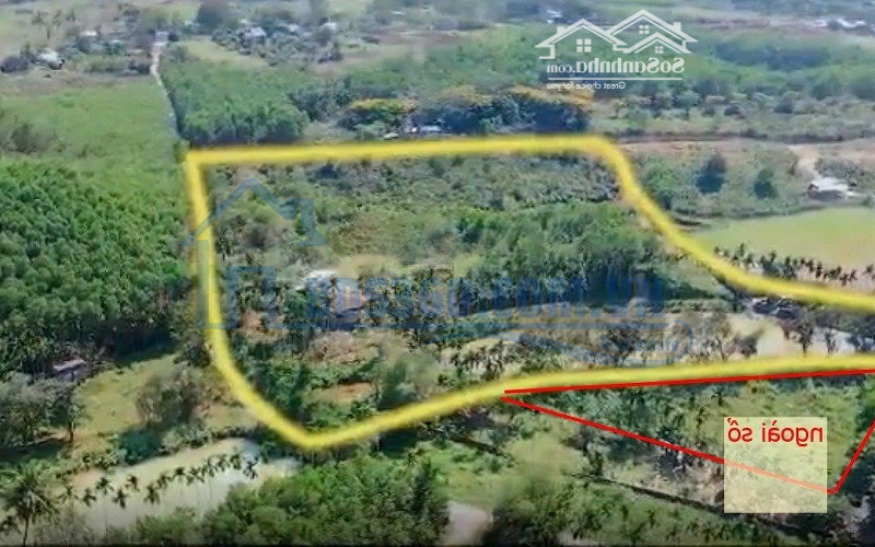 Bán Nhà Vườn Rộng 1,5Ha Có Sổ,Có Nhà ,Vườn Cây Ăn Quả Có Suối Đã Rào Kiên Cố Xung Quanh Khí Hậu Mát