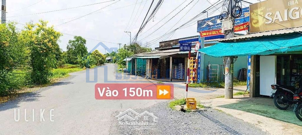 Mt Bùi Văn Gà Tân Trụ. Hàng Chưa Qua Đầu Tư