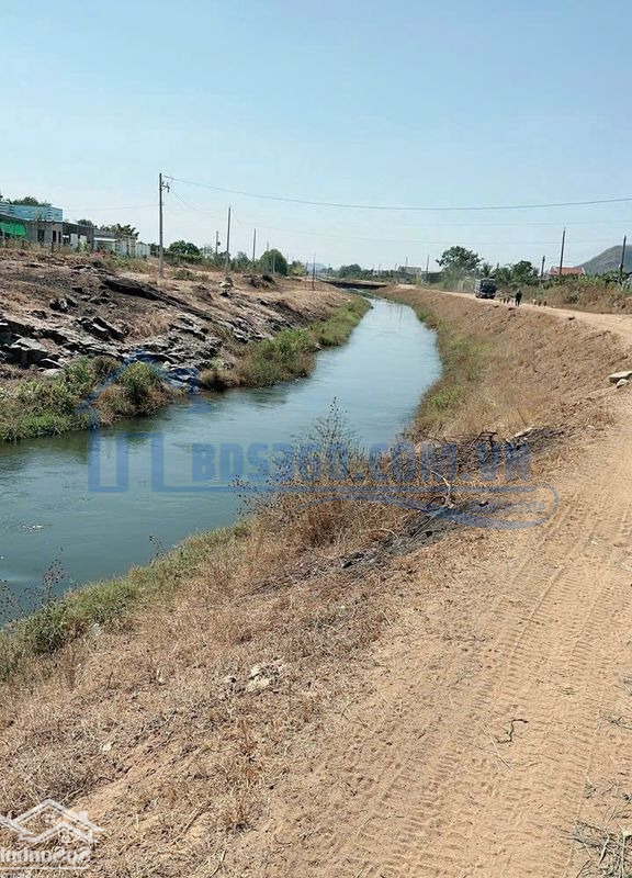 Đất Sào Xã Hàm Phú, Hàm Thuận Bắc, Bình Thuận (Gần Nút Giao Cao Tốc)