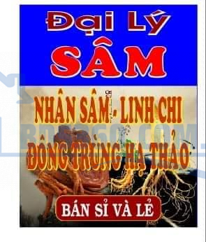 Tôi sang nhượng Đại lý : Hồng Sâm - Linh Chi Hàn Quốc Tiệm gần sát đường Tân Kỳ Tân Quý ,