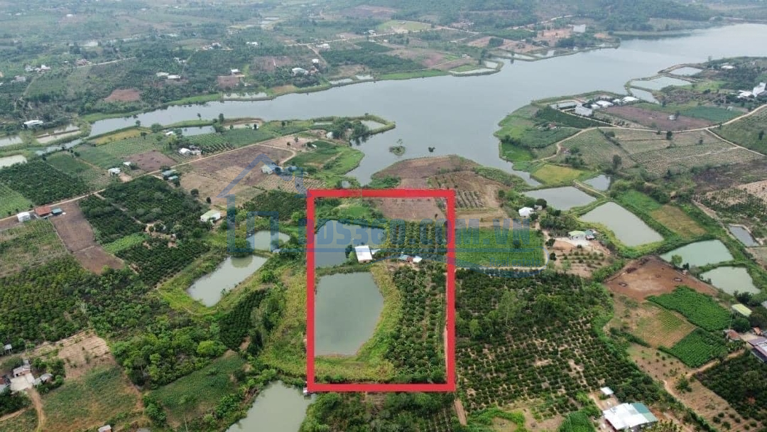 Thời Điểm Vàng Để Đầu Tư Đất Giá Tốt Xuân Phú- Ea Kar 18000M2 Sẵn 400M2 Thổ Cư Sẵn Nhà & Vườn