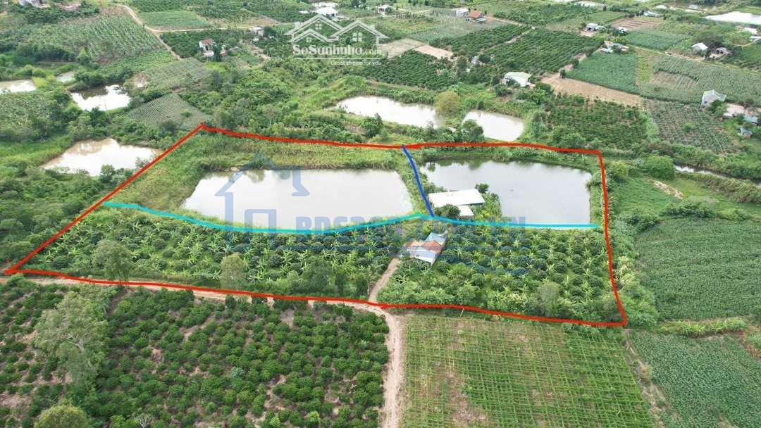 Thời Điểm Vàng Để Đầu Tư Đất Giá Tốt Xuân Phú- Ea Kar 18000M2 Sẵn 400M2 Thổ Cư Sẵn Nhà & Vườn