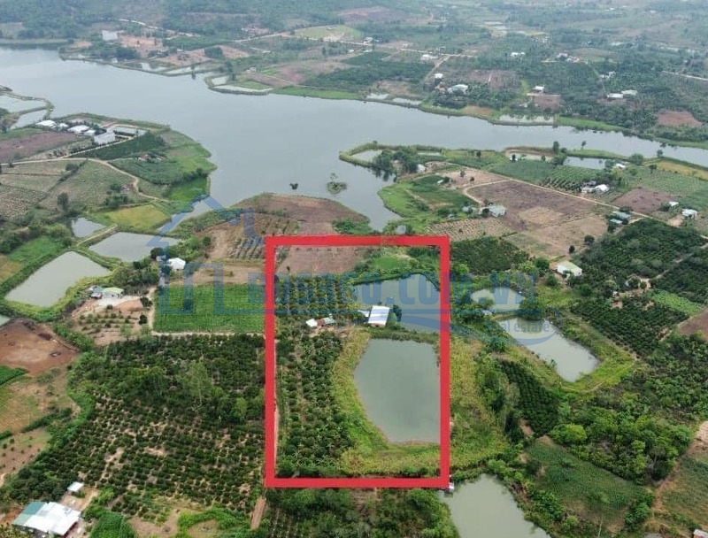 Thời Điểm Vàng Để Đầu Tư Đất Giá Tốt Xuân Phú- Ea Kar 18000M2 Sẵn 400M2 Thổ Cư Sẵn Nhà & Vườn