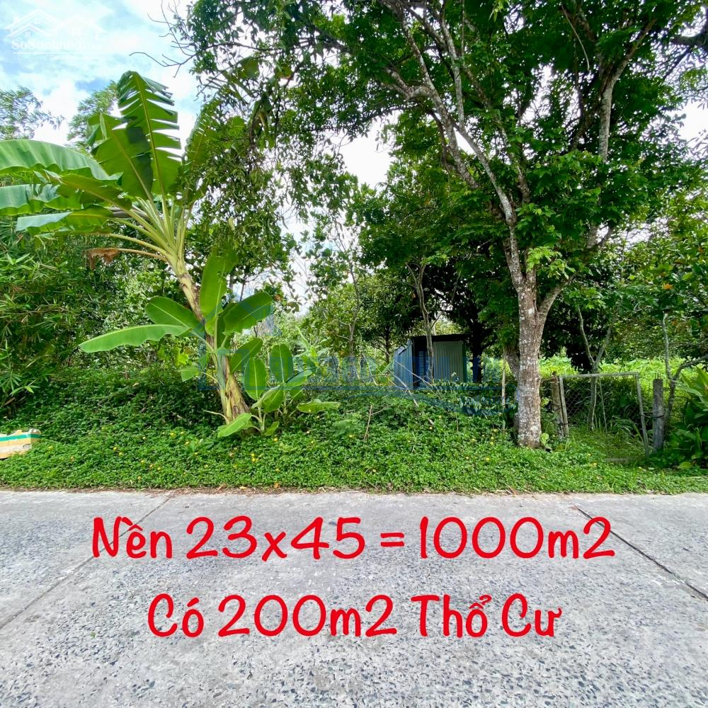 Nền Đẹp 1000m2 Có Thổ Cư, Nhơn Ái, Cách Chợ Phong Điền 600m.