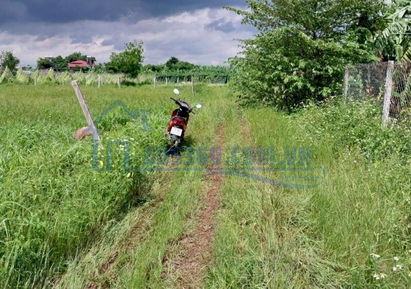 Cần bán 1163m, xã Cây Gáo, huyện Trảng Bom