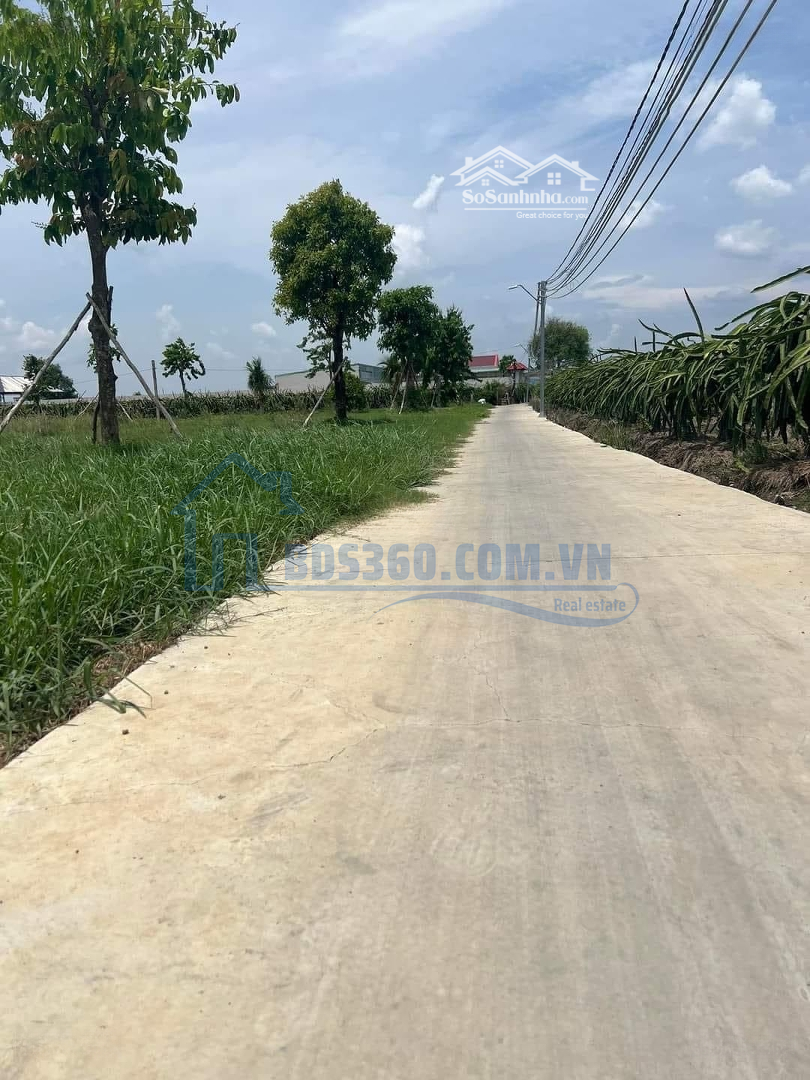 Bán 4500M ( 68 X 68M ) Lúa Ở An Lục Long, Châu Thành _ Đường Oto Đến Đất , Cho Chuyển Thổ.