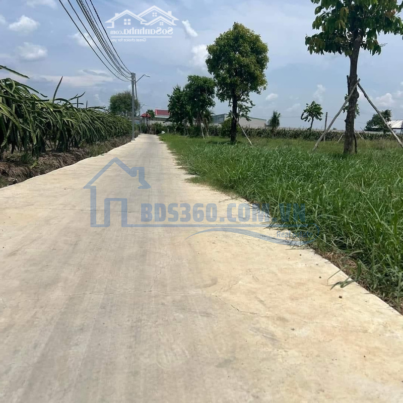 Bán 4500M ( 68 X 68M ) Lúa Ở An Lục Long, Châu Thành _ Đường Oto Đến Đất , Cho Chuyển Thổ.