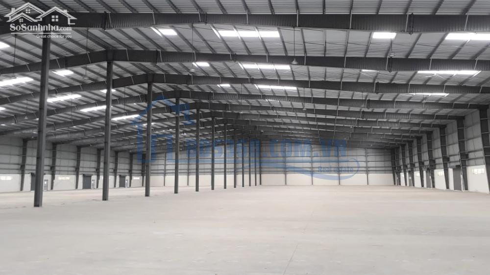 Cho Thuê Kho Mỹ Phước, Kho 3000M2, Sân 1000M2, Rẻ Chỉ 50 Triệu. Đường Cont.