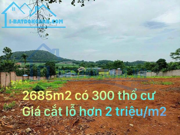 2685M2 SÁT ĐỒNG MÔ CHỈ 500M THỊ XÃ SƠN TÂY - ĐẤT LÔ GÓC GIÁ SIÊU RẺ, CHỈ 2,6 TR/M2