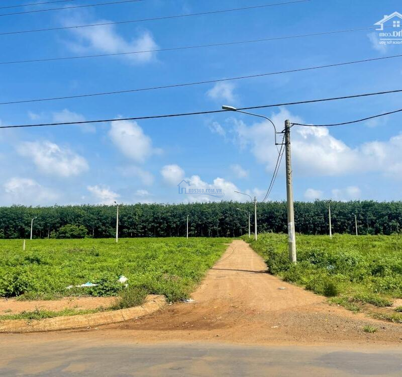 Chính chủ bán gấp 4 lô Khu A giá cực sốc