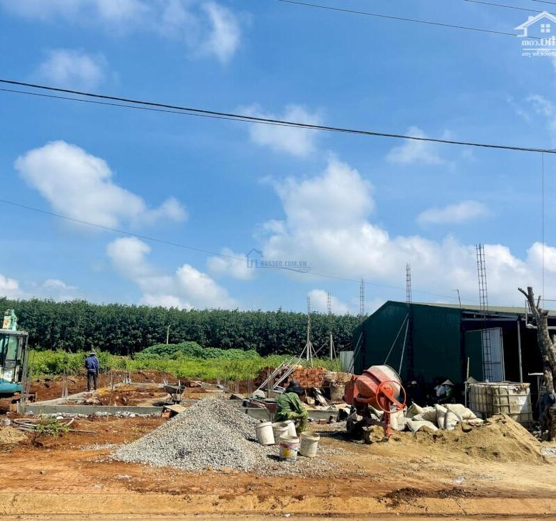 Chính chủ bán gấp 4 lô Khu A giá cực sốc