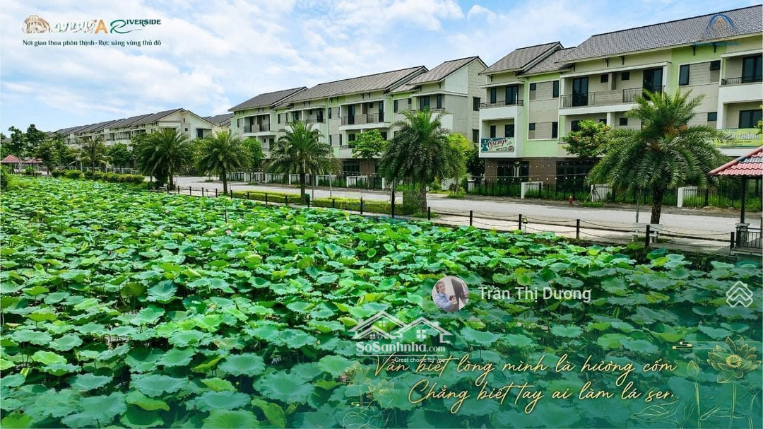 Nhà Phố 3 Tầng View Sông Tự Nhiên Duy Nhất Tại Centa City