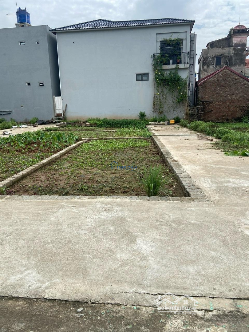 Bán Đất Thổ Cư Xã Tự Nhiên Đường Trước Cửa Ô Tô Đỗ. Cách 50M Là Trục Đường Lớn Rộng 8M . Gần Chợ