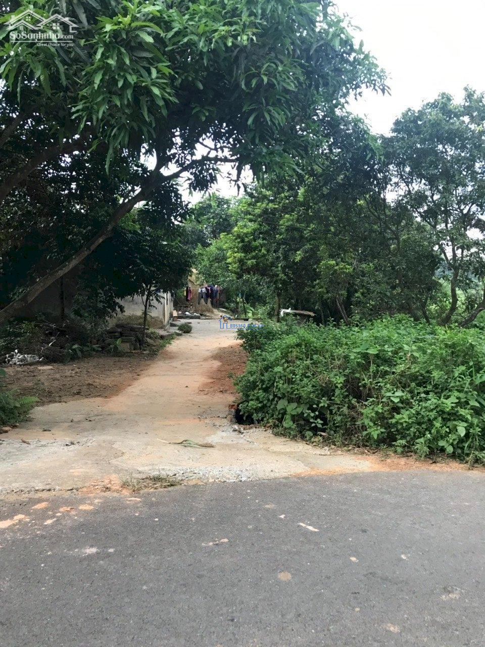 Bán đất ở Khu tái định cư Xuân Sơn, Xuân Sơn, Sơn Tây, Hà Nội.