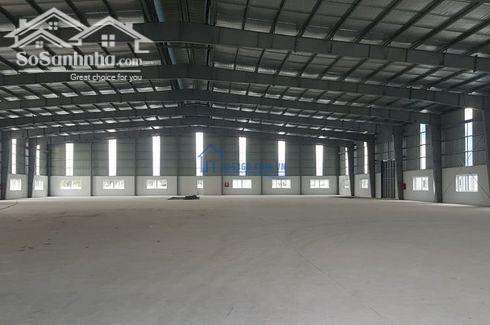 CHO THUÊ KHO XƯỞNG 40.000M2 TẠI TÂY NINH