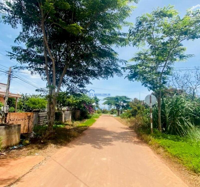 Chỉ với 4.9 tỷ sở hữu ngay lô đất 500m2 sẵn thổ cư tại Nam Hà - Lâm Đồng