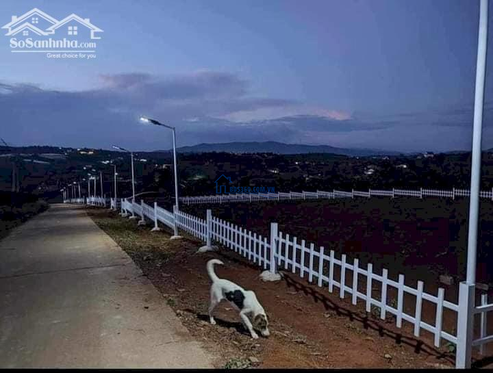 Đất thế cao view đẹp 250m2 thổ cư tại xã Nam Hà Lâm Đồng