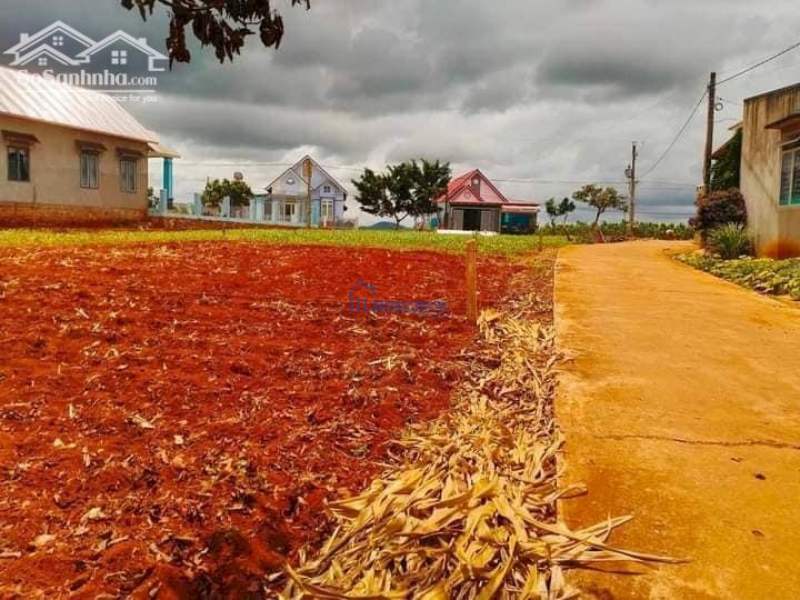 Đất thế cao view đẹp 250m2 thổ cư tại xã Nam Hà Lâm Đồng