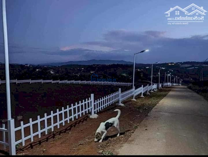 Đất thế cao view đẹp 250m2 thổ cư tại xã Nam Hà Lâm Đồng