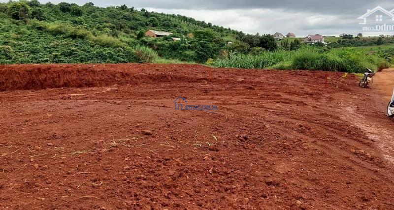 Ngộp ngân hàng cần thanh lý nhanh lô đất hơn 1000m2 giá tốt