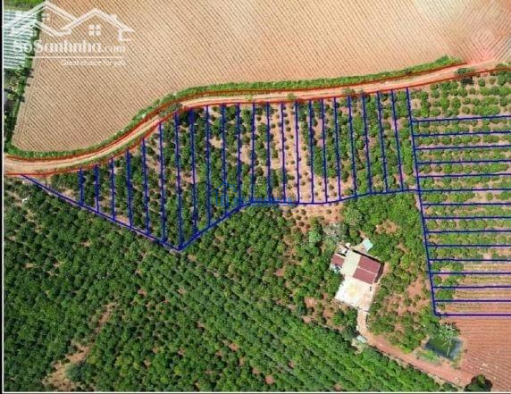 Đất thổ cư view đẹp giá tốt tại Lâm Đồng