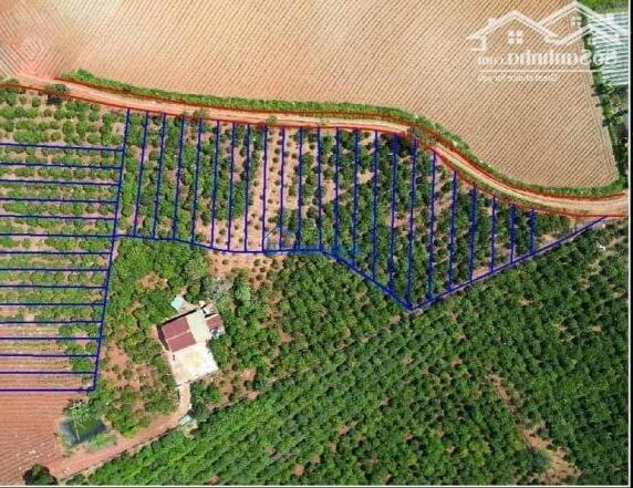 Đất thổ cư view đẹp giá tốt tại Lâm Đồng