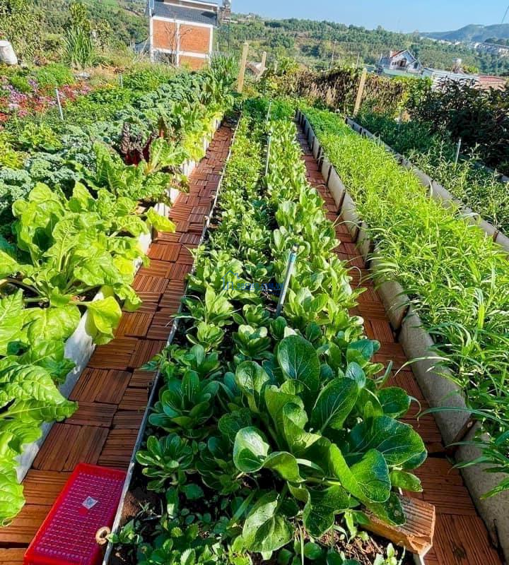 Đất nghỉ dưỡng ven Đà Lạt, TT Nam Hà giá rẻ