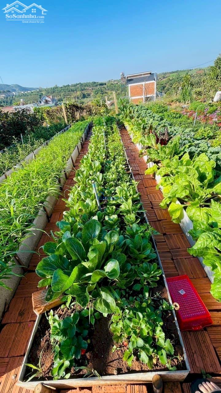 Đất nghỉ dưỡng ven Đà Lạt, TT Nam Hà giá rẻ