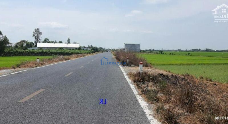 Bán đất lúa: 7.900m² (46m x 171m) Đường ĐT 856, xã Phương Thịnh, H Cao Lãnh, Đồng Tháp