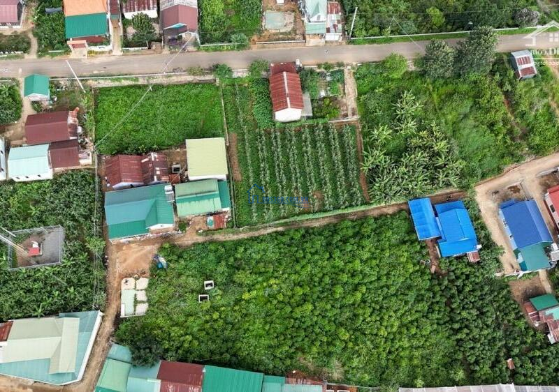 Đạ Sar Đà Lạt. Lô 2 mặt đường 2100m2. Thổ cư 2000m2. Đường oto