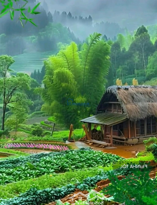 Cần Bán Đất Tại Xã Diên Hòa, Diên Khánh, Khánh Hòa, Giá Tốt