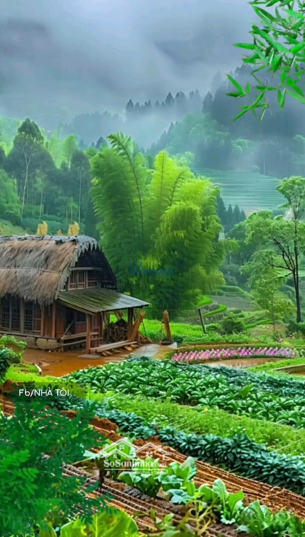 Cần Bán Đất Tại Xã Diên Hòa, Diên Khánh, Khánh Hòa, Giá Tốt