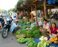 Tôi chính chủ bán gấp 2 dãy nhà trọ đang kinh doanh thu nhập ổn định 17triệu/ tháng