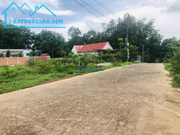 Bán gấp lô đất full thổ cư(50x26=1300m2)SH RIÊNG ,TTT XÃ, MẶT TIỀN 3KCN,TRƯỜNG CHỢ SẦM UẤT