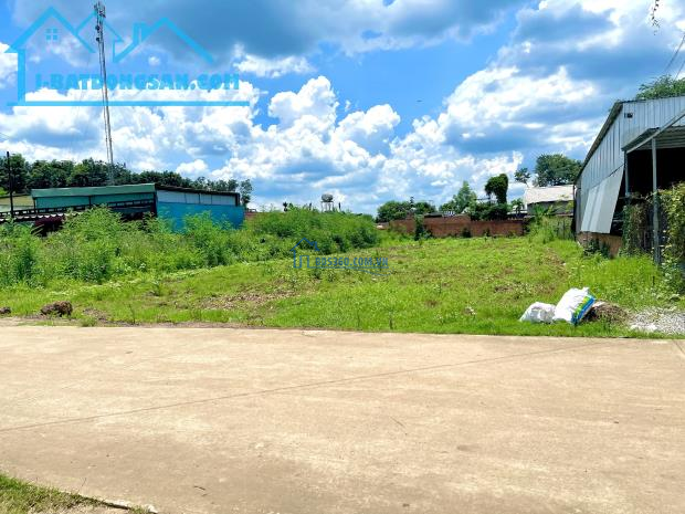 KẸT TIỀN TÔI BÁN 2400M2 ĐẤT THỔ CƯ SỔ HỒNG RIÊNG CẠNH CHỢ DÂN CƯ ĐÔNG GIÁ 270 TRIỆU