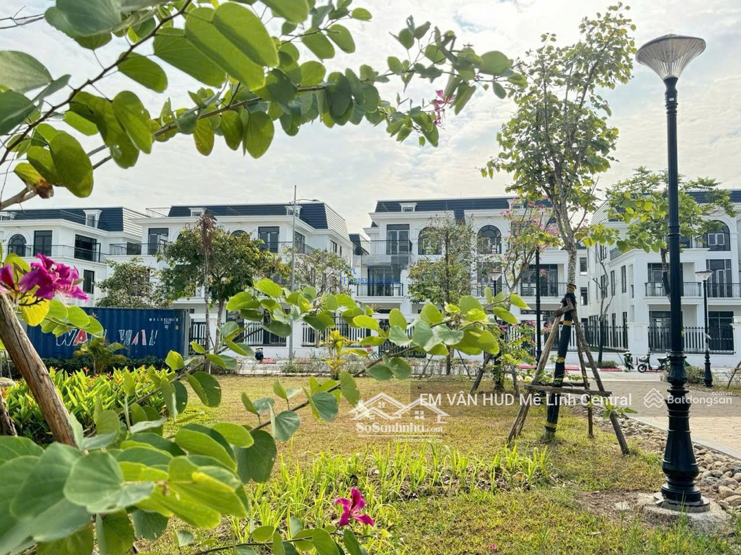 Không Phải Đóng Gốc 1- 3 Năm, Biệt Thự Song Lập Hud Mê Linh Diện Tích 323M2, Hướng Đông Nam.