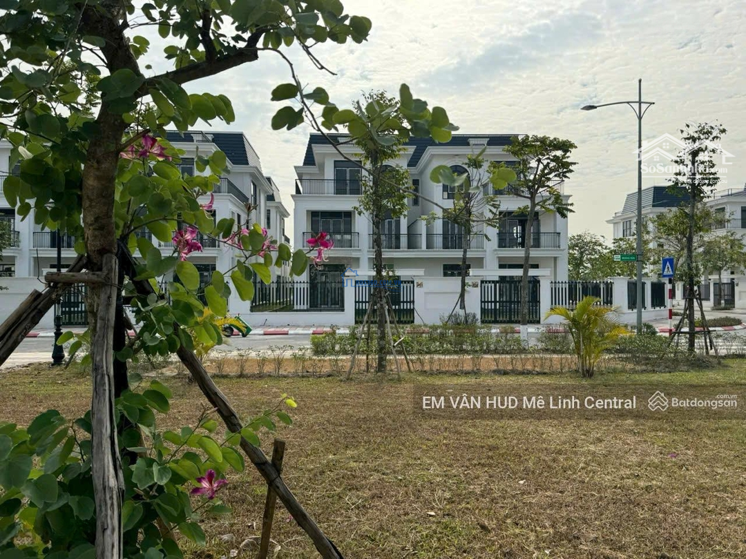 Không Phải Đóng Gốc 1- 3 Năm, Biệt Thự Song Lập Hud Mê Linh Diện Tích 323M2, Hướng Đông Nam.