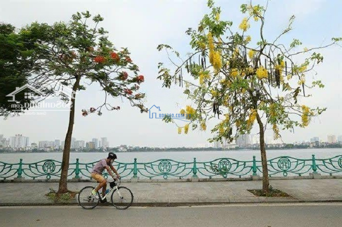 Bán Nhà Mặt Phố Tại Đường Vũ Miện - Tây Hồ