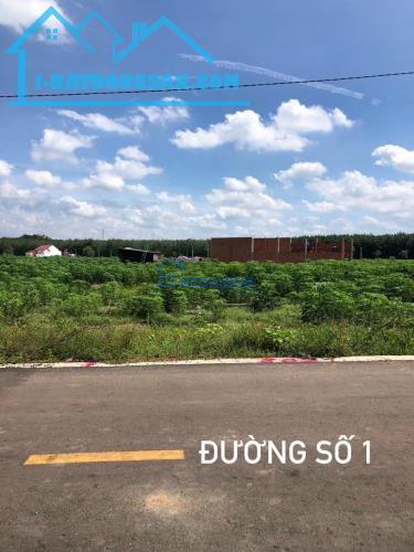 ĐỊNH CƯ SANG ÚC BÁN 3000M2 ĐẤT THỔ CƯ MT TỈNH LỘ NẰM SÁT CHỢ DÂN CƯ ĐÔNG GIÁ 660 TRIỆU
