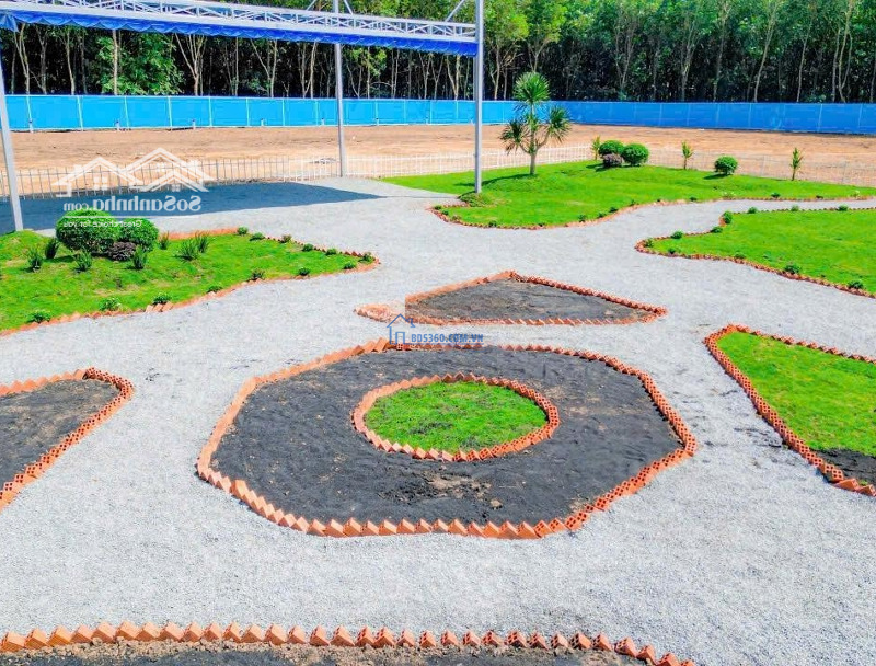 Chủ Kẹt Tiền Cần Bán Gấp 383M2 Đất Chánh Phú Hòa - Tp Bến Cát Sổ Sẵn Công Chứng Ngay
