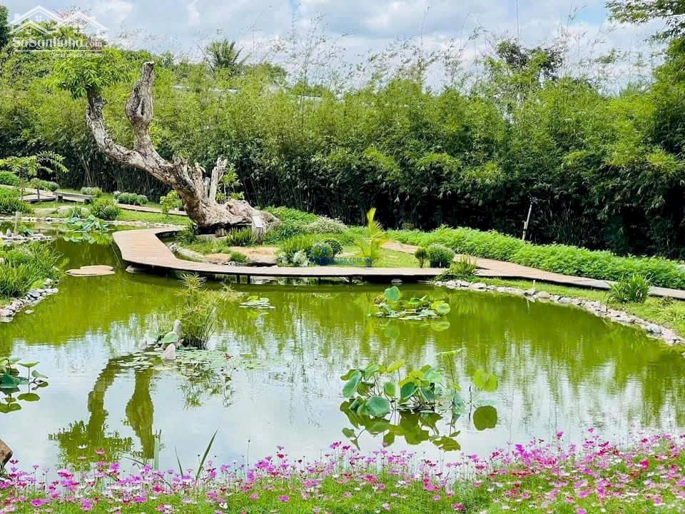 Bán liền kề đường 23m dự án Thành Phố Cà Phê.