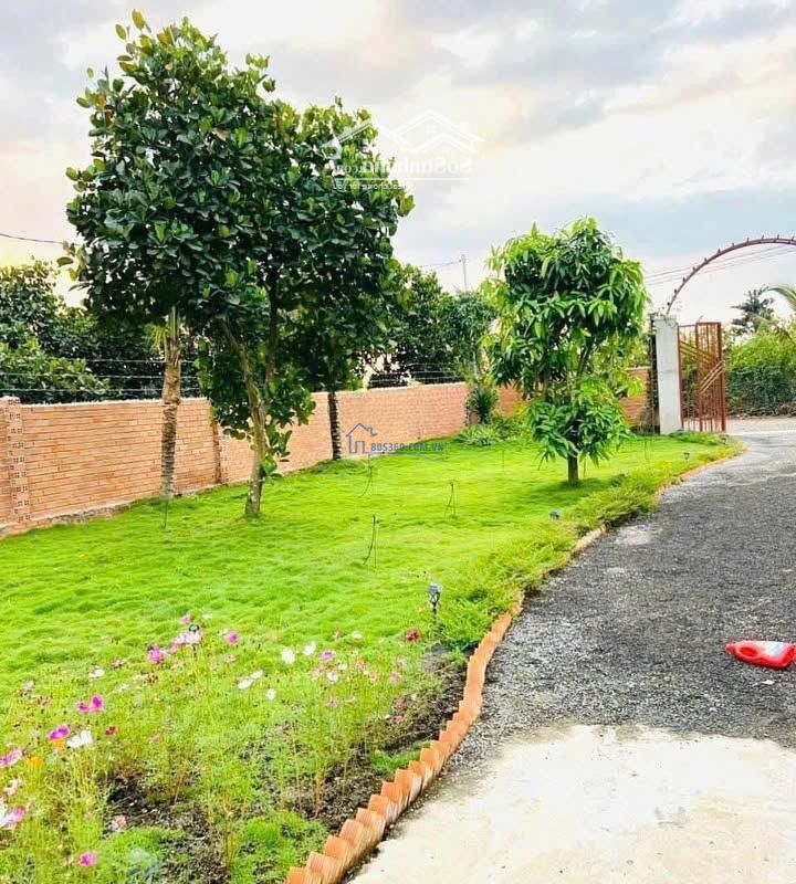 Bán Lô Đất Tặng Căn Nhà Gấp Cận Tết Giá Ngộp Chỉ 480 Triệu Có Ngay 1 Lô Đất 2000M2 Ở Bình Phước