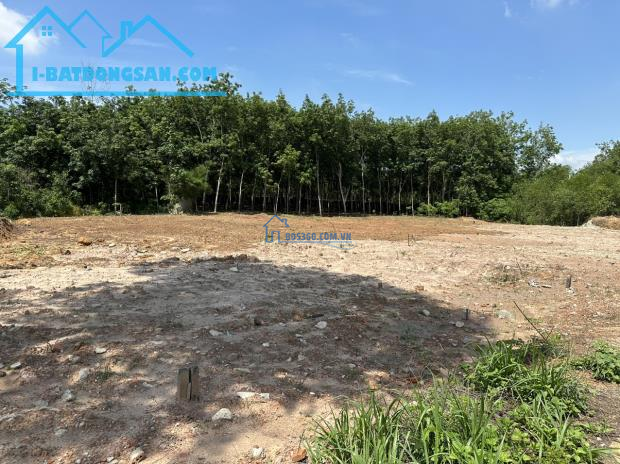 Cần bán lô đất nền tại Long Tân – Dầu Tiếng, đất 100m2 thổ cư, gần ngay trung tâm