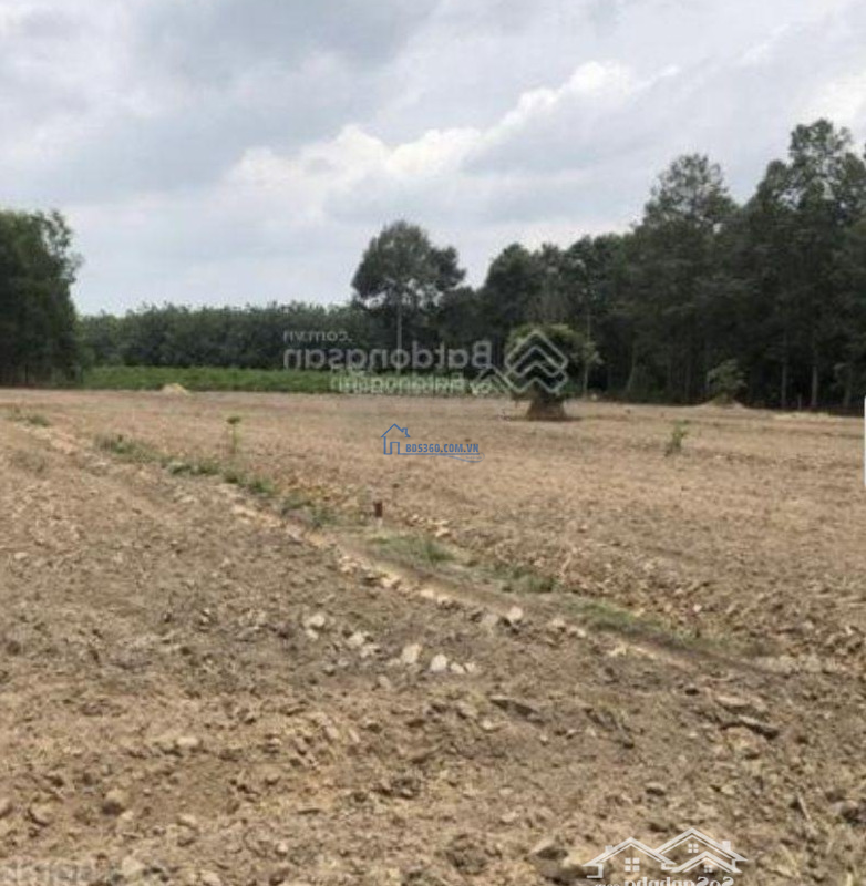 Cần Bán Nhanh Lô Đất Nhơn Trạch - Đồng Nai. Diện Tích: 950M2/ 850 Triệu . Sổ Riêng, Full Thổ Cư Đường Nhựa 7M