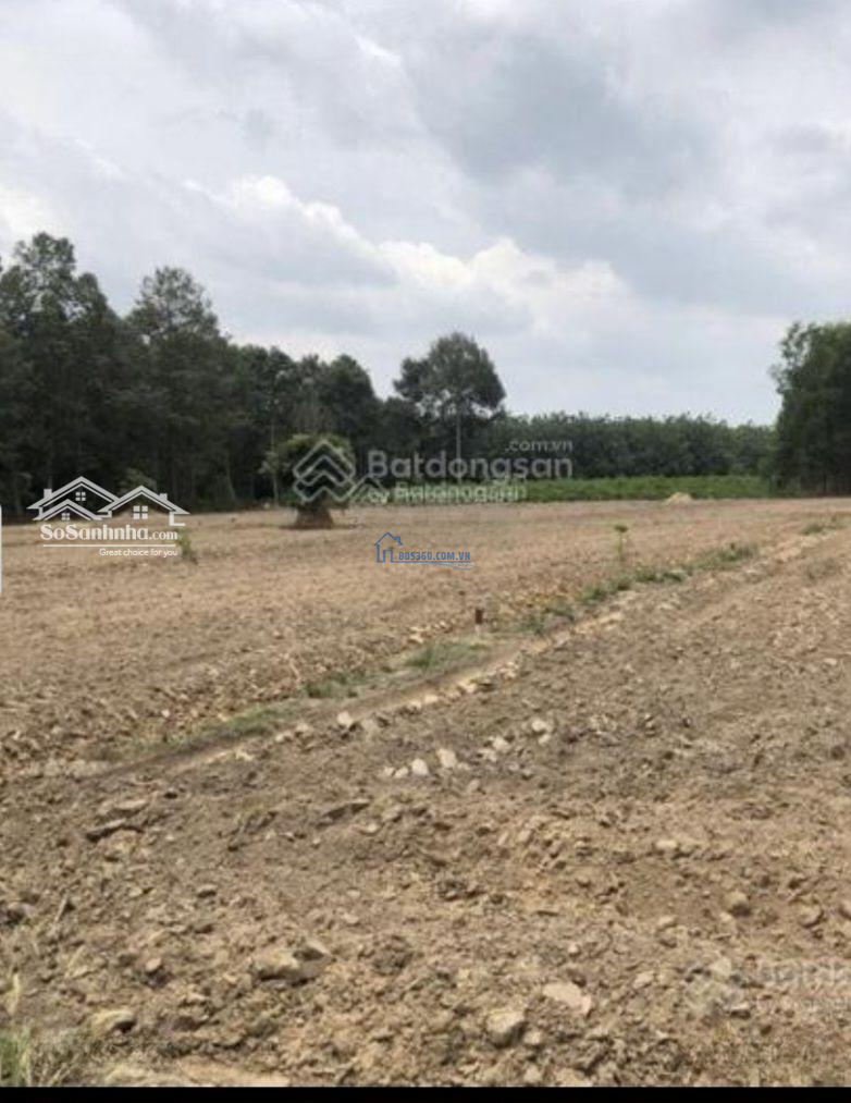 Cần Bán Nhanh Lô Đất Nhơn Trạch - Đồng Nai. Diện Tích: 950M2/ 850 Triệu . Sổ Riêng, Full Thổ Cư Đường Nhựa 7M