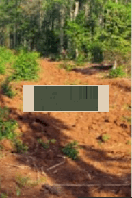 5x42m có 100m2 thổ cư giá 11.770tr/m2, đất đẹp cho nhà đầu tư