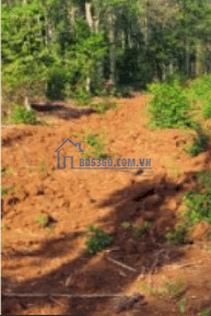 5x42m có 100m2 thổ cư giá 11.770tr/m2, đất đẹp cho nhà đầu tư